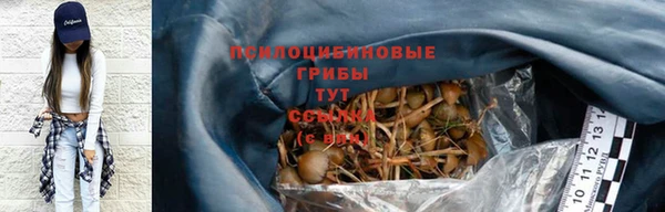 прущая мука Богородск