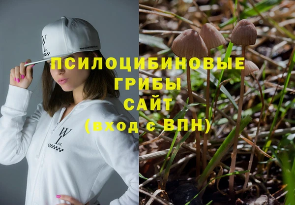 apvp Саяногорск