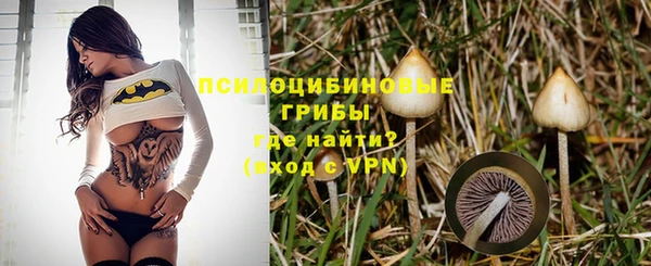 каннабис Богородицк