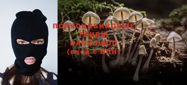 мескалин Богданович